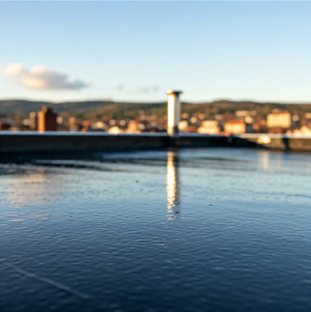 Самарская мастика профессиональная